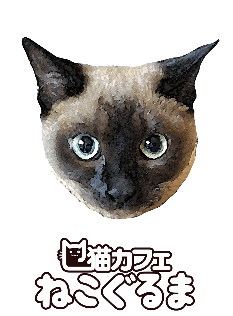 ねこのいるカフェ ねこぐるま Home ねこのいるカフェ ねこぐるま Home