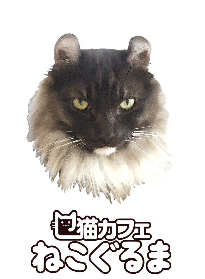 ねこのいるカフェ ねこぐるま Home ねこのいるカフェ ねこぐるま Home